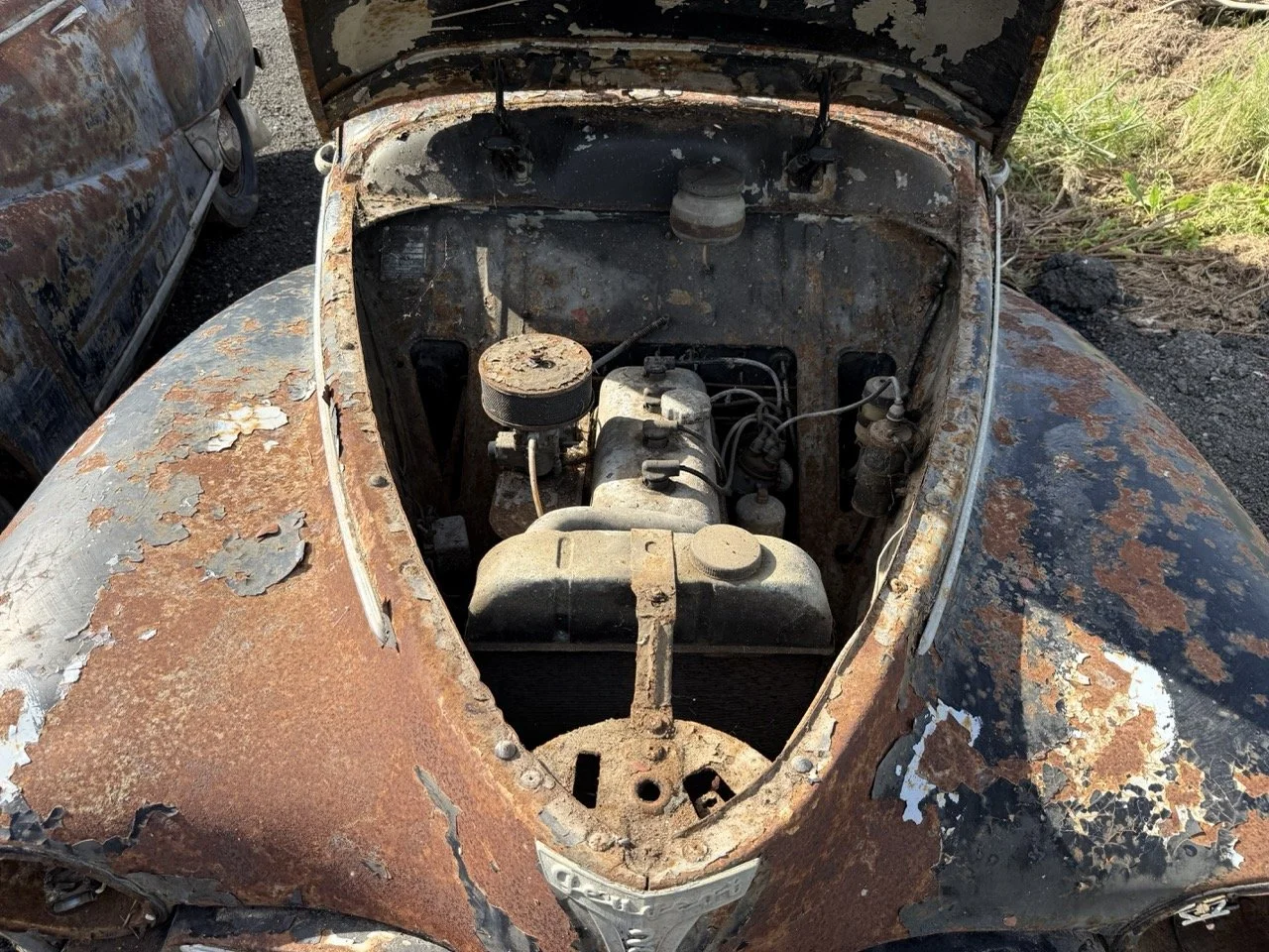 IMG_0412 – grande.jpeg