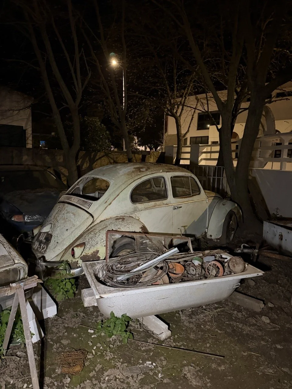 IMG_3101 – grande.jpeg