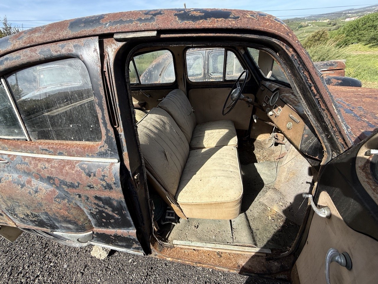 IMG_0458 – grande.jpeg