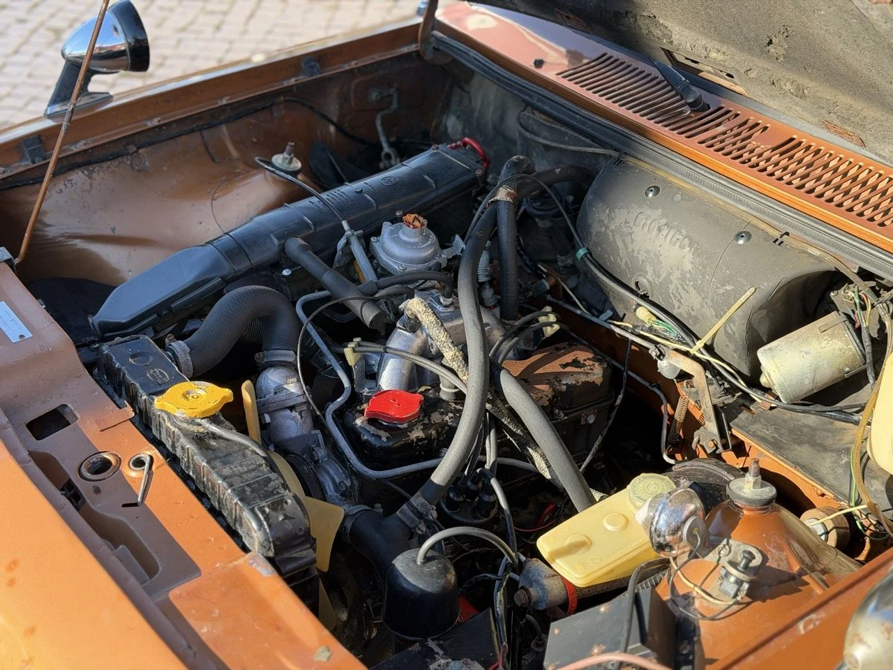 IMG_2391 – grande.jpeg