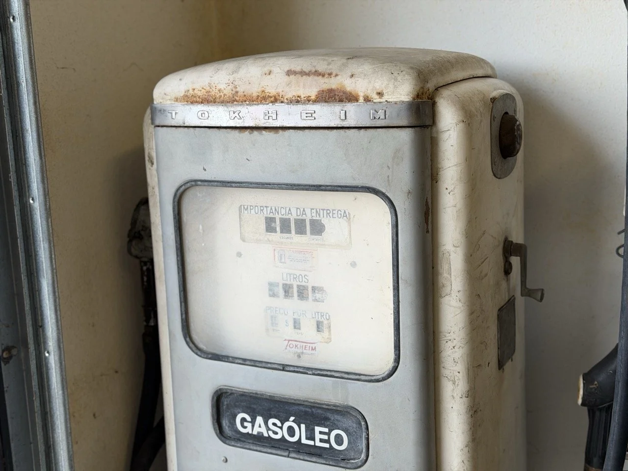 IMG_8946 – grande.jpeg