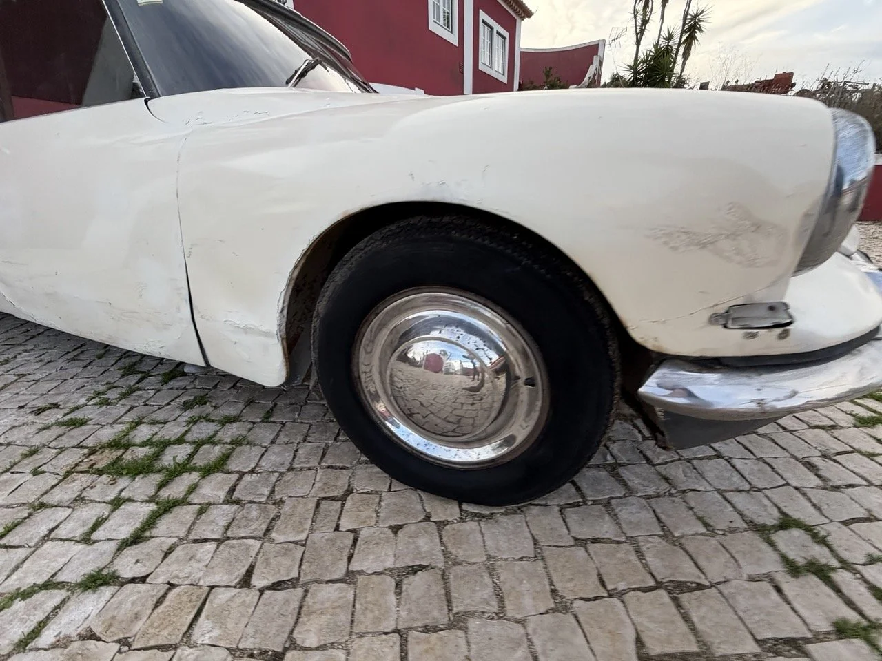 IMG_5982 2 – grande.jpeg