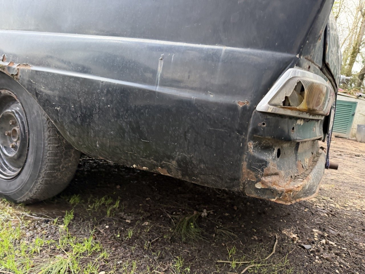 IMG_1931 – grande.jpeg