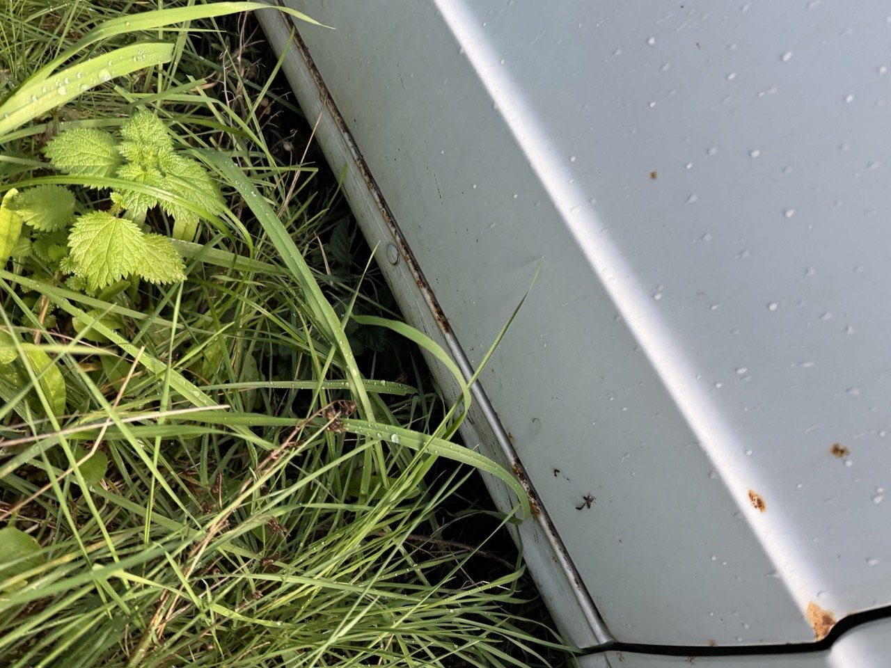 IMG_5187 – grande.jpeg