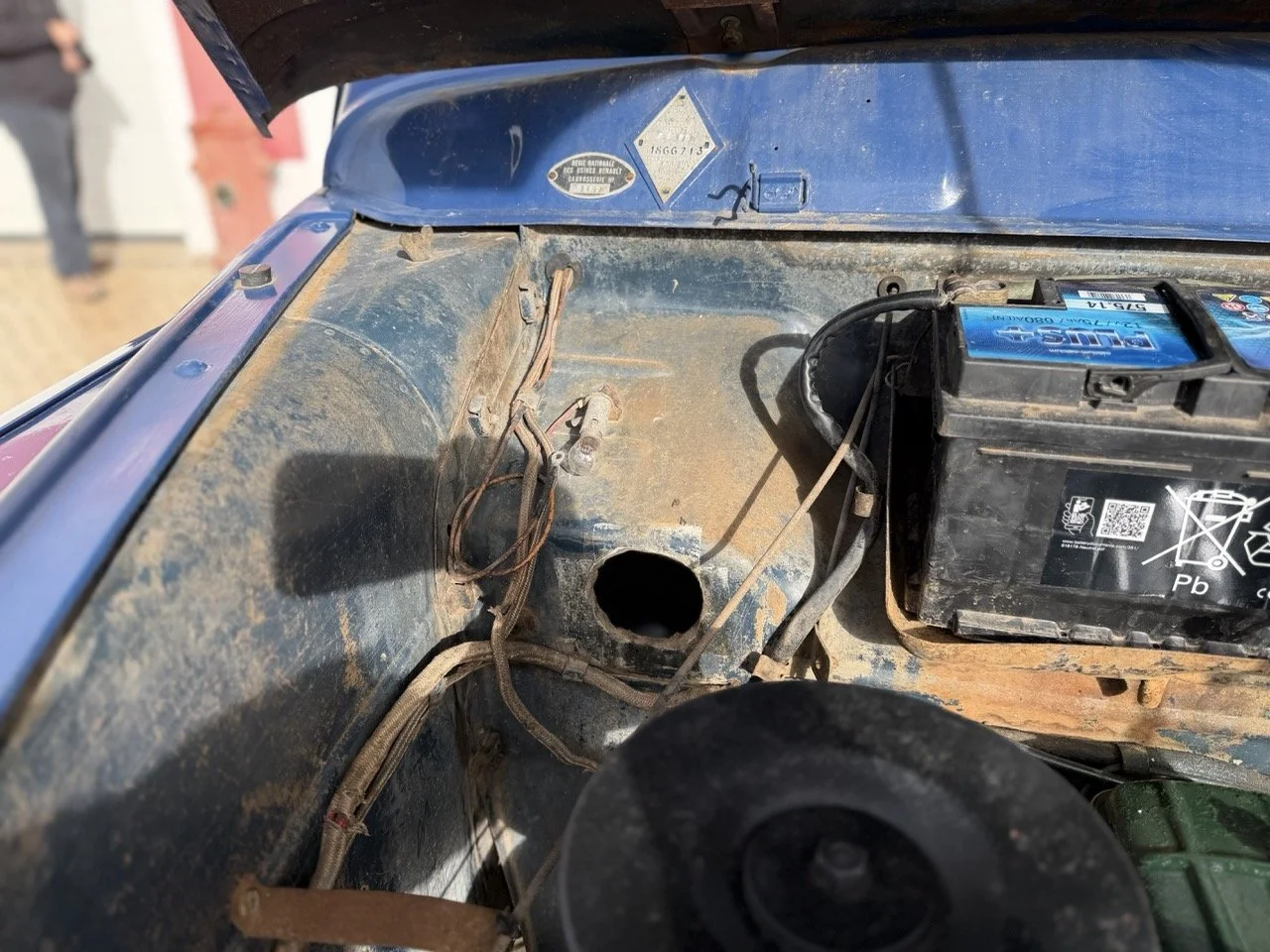 IMG_8120 – grande.jpeg