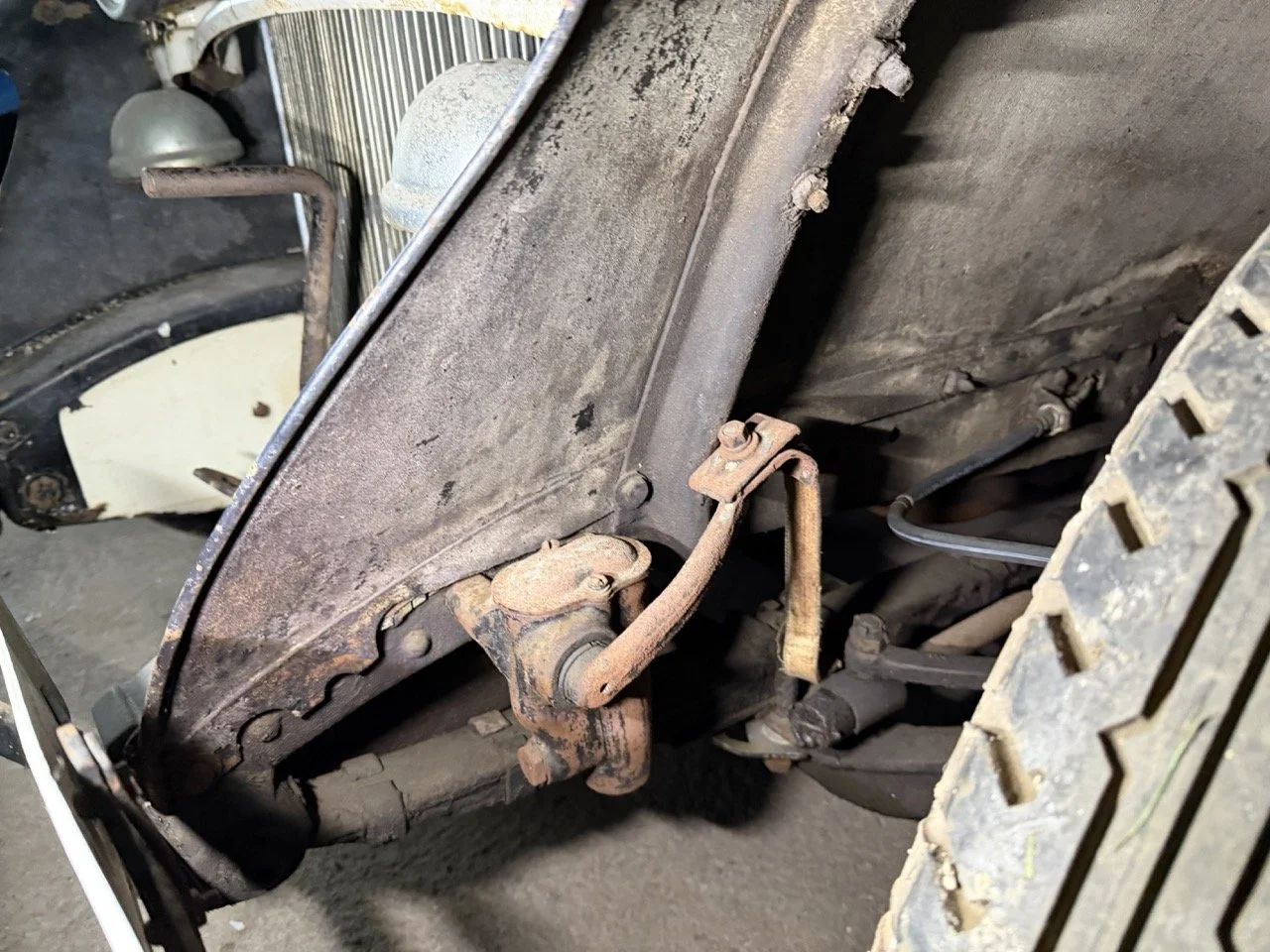 IMG_2491 – grande.jpeg