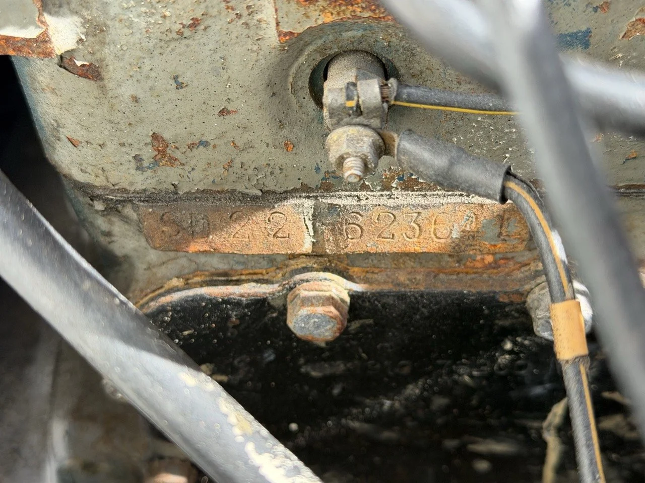 IMG_8617 2 – grande.jpeg