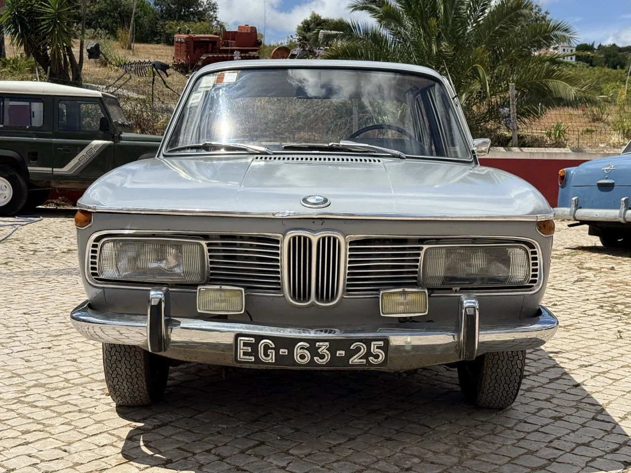 IMG_2598 – grande.jpeg