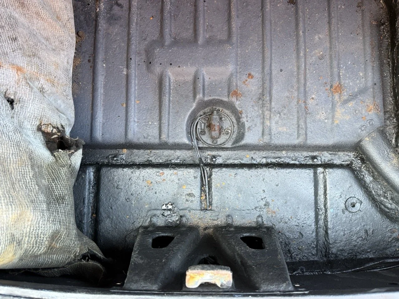 IMG_3534 – grande.jpeg