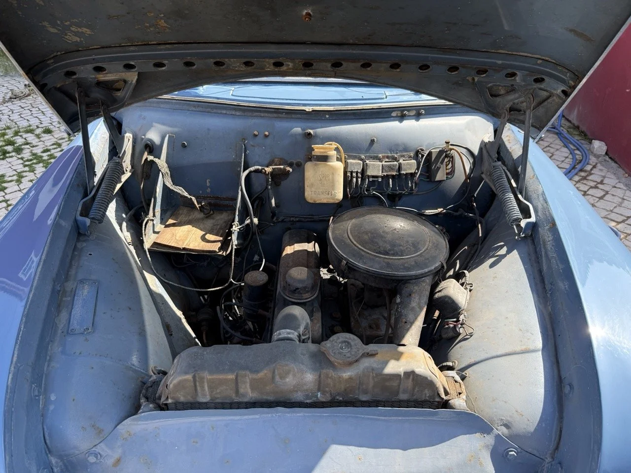 IMG_3516 – grande.jpeg