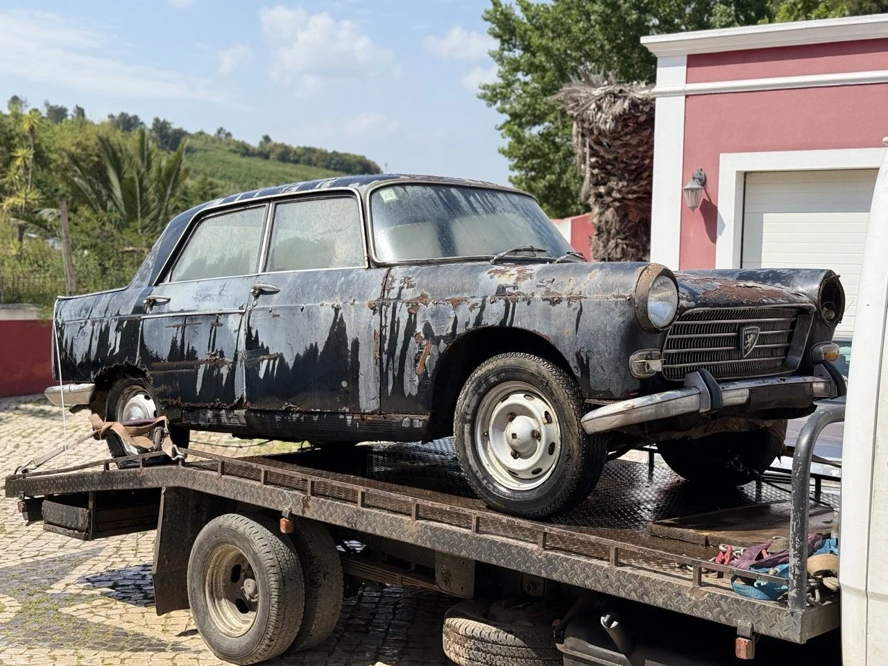 IMG_3453 – grande.jpeg