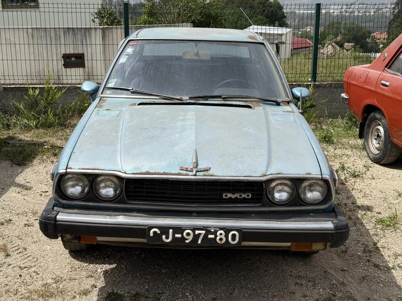 IMG_1499 – grande.jpeg