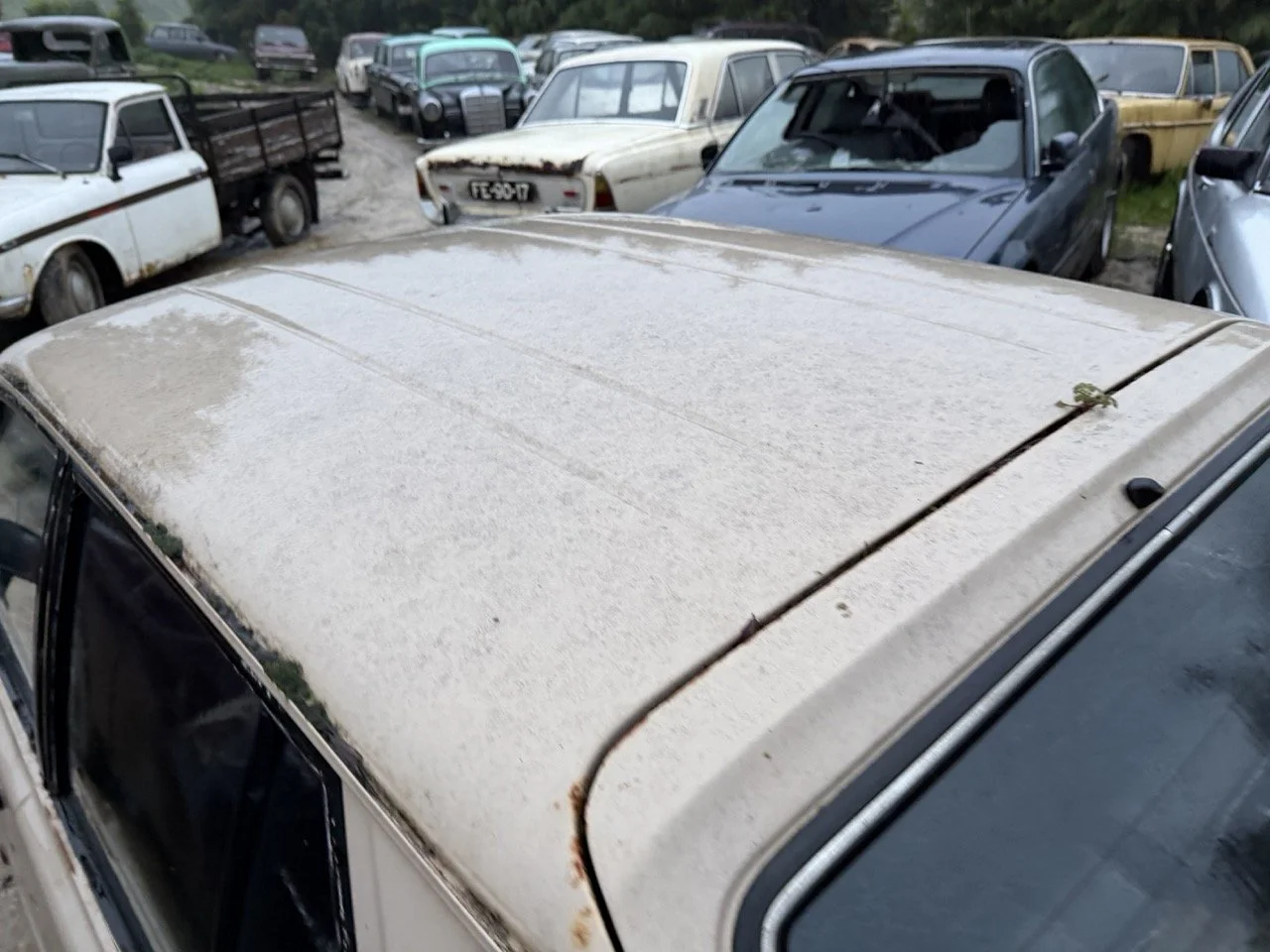 IMG_0199 – grande.jpeg