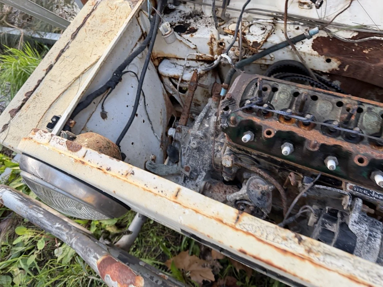 IMG_0883 – grande.jpeg