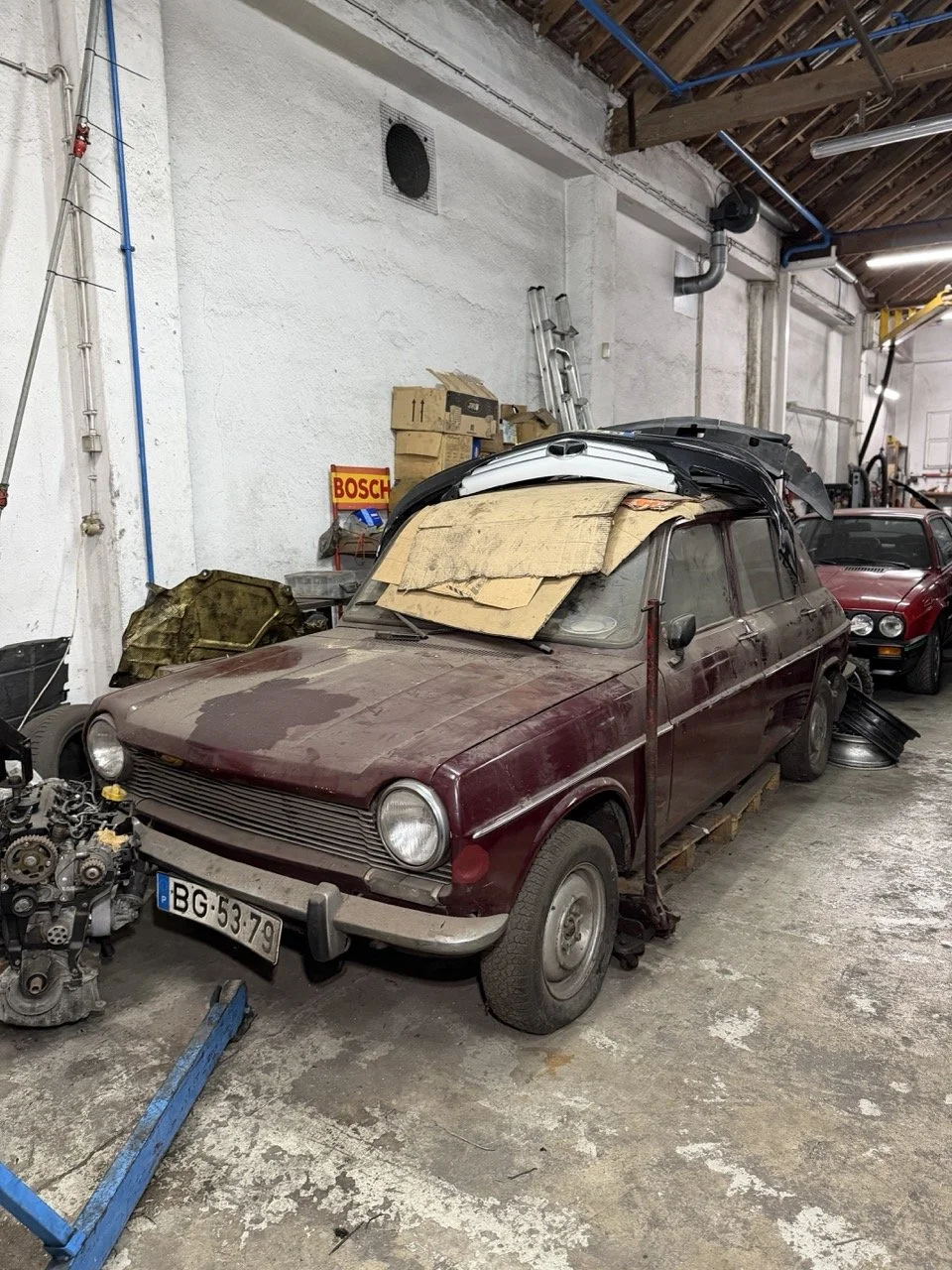 IMG_2579 – grande.jpeg