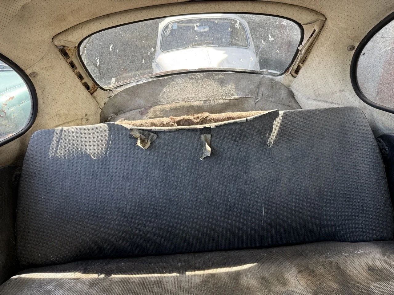 IMG_0640 – grande.jpeg