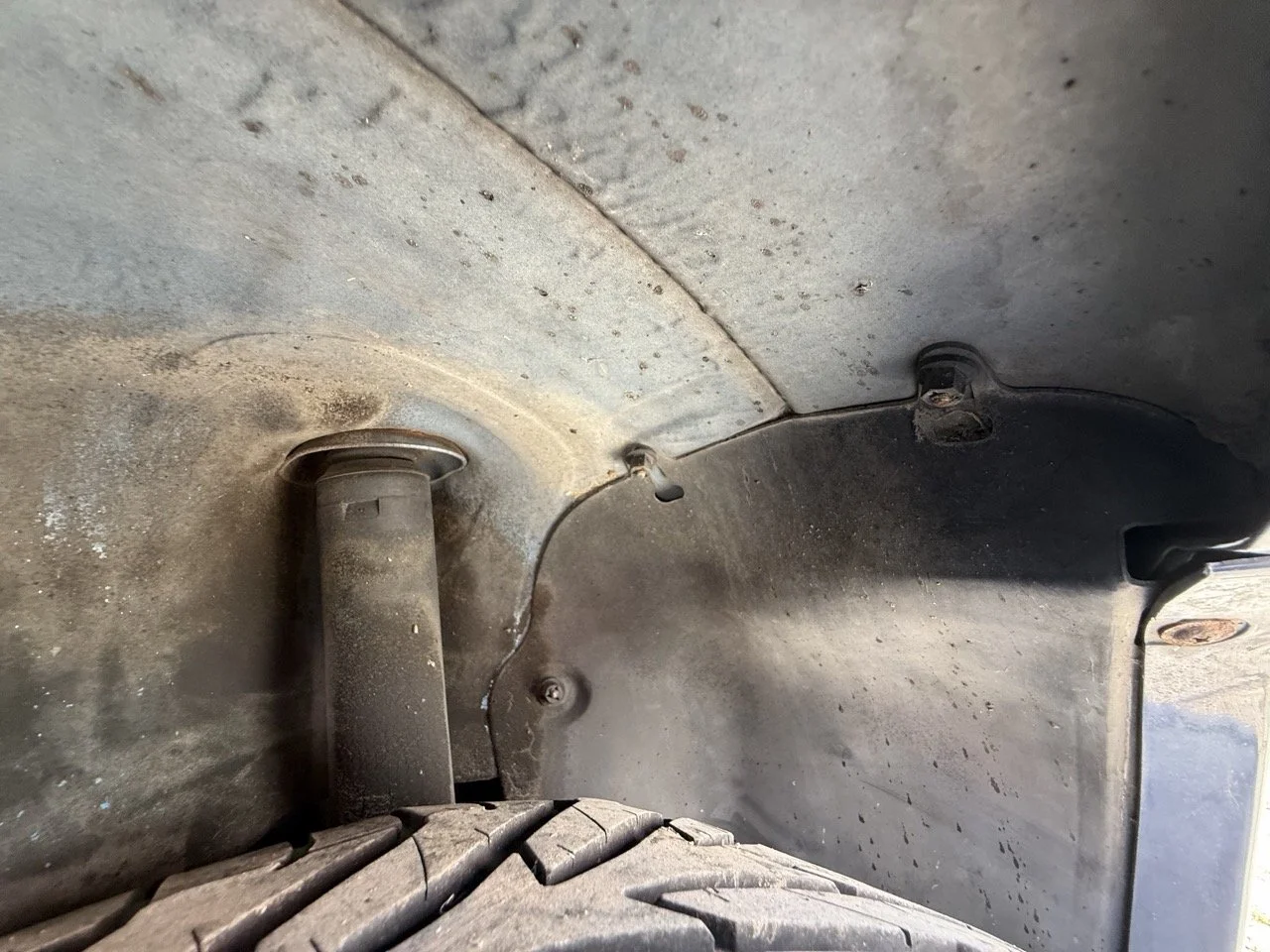 IMG_2505 – grande.jpeg