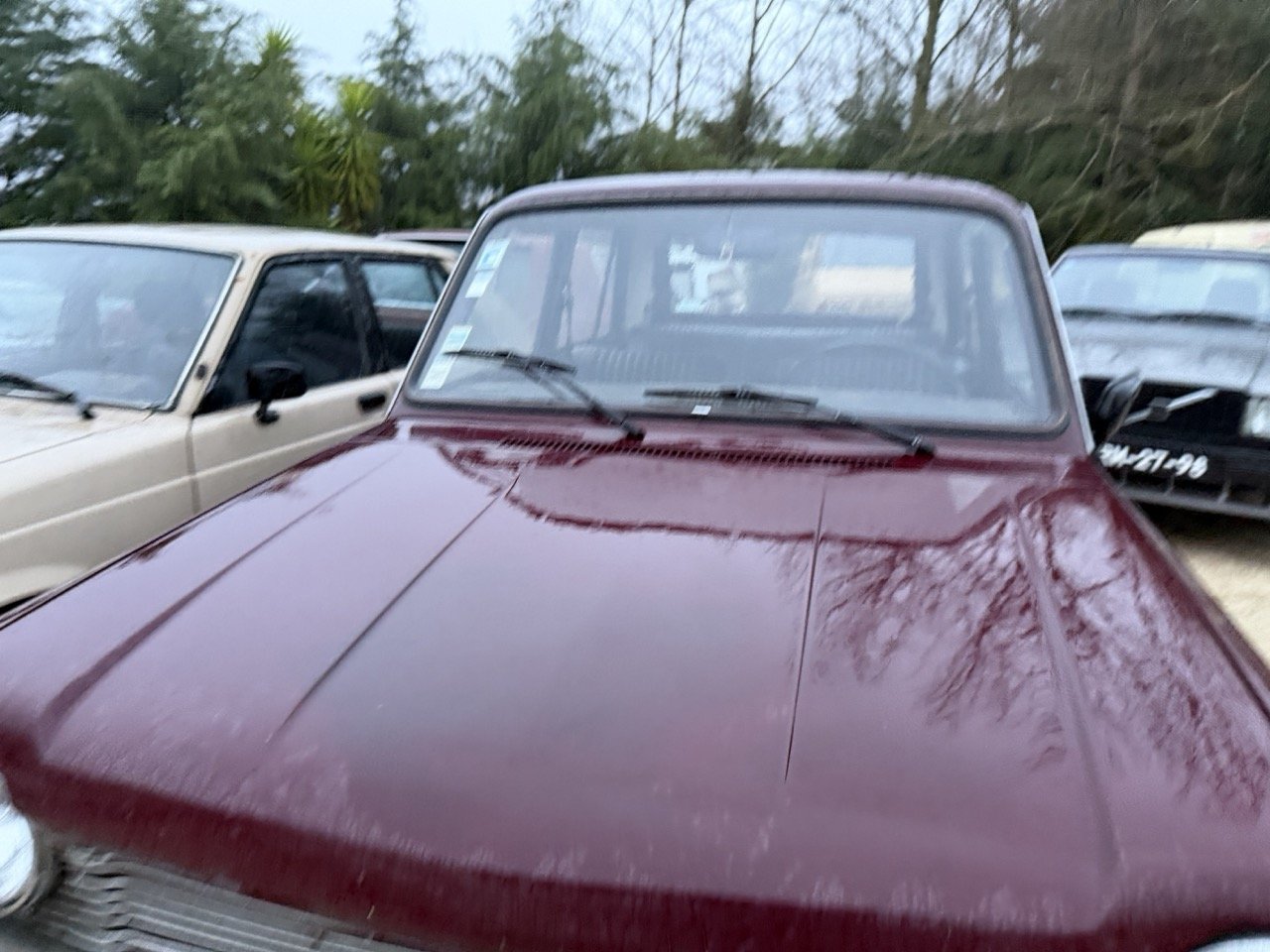 IMG_0295 – grande.jpeg