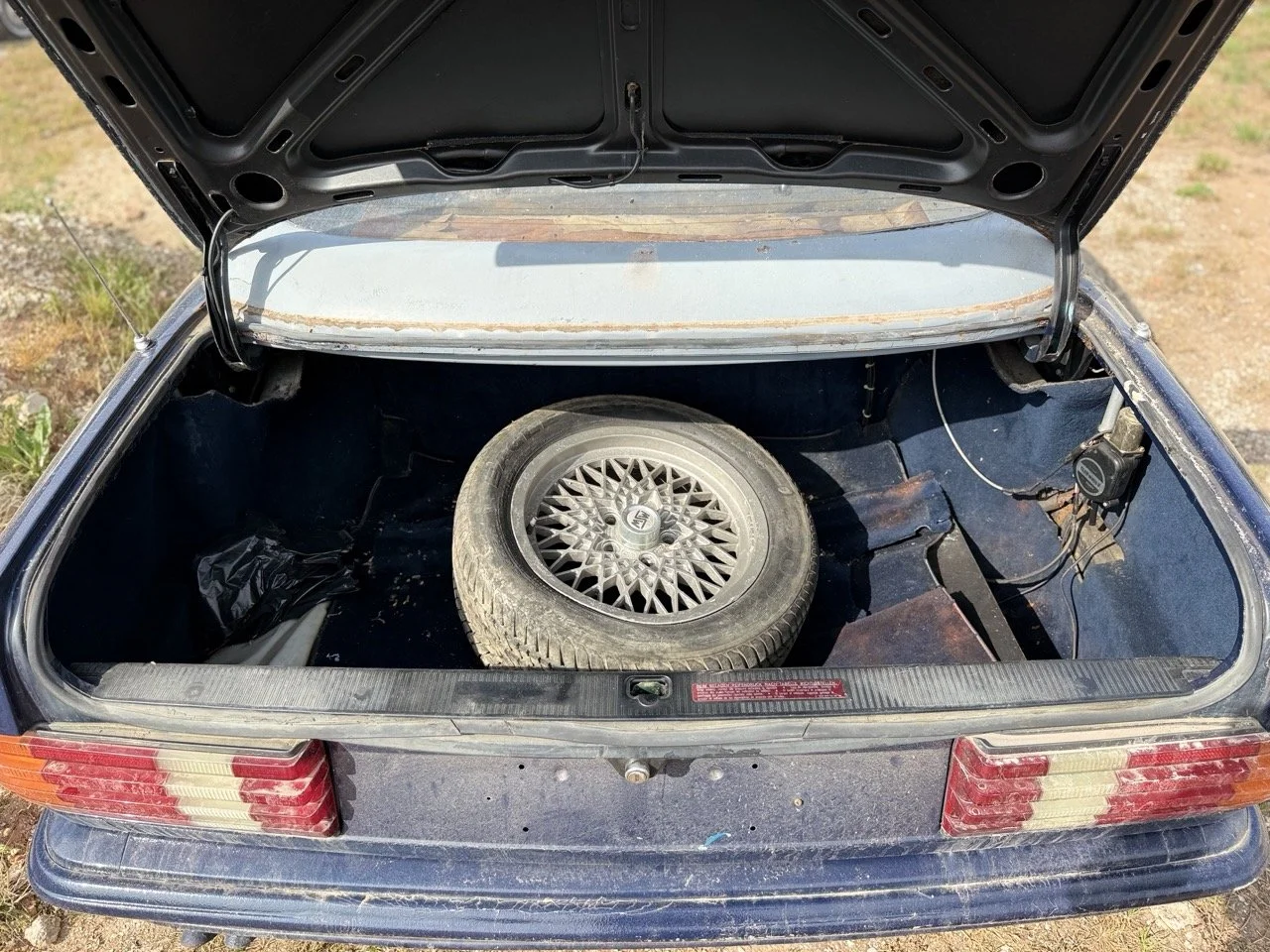 IMG_3390 – grande.jpeg