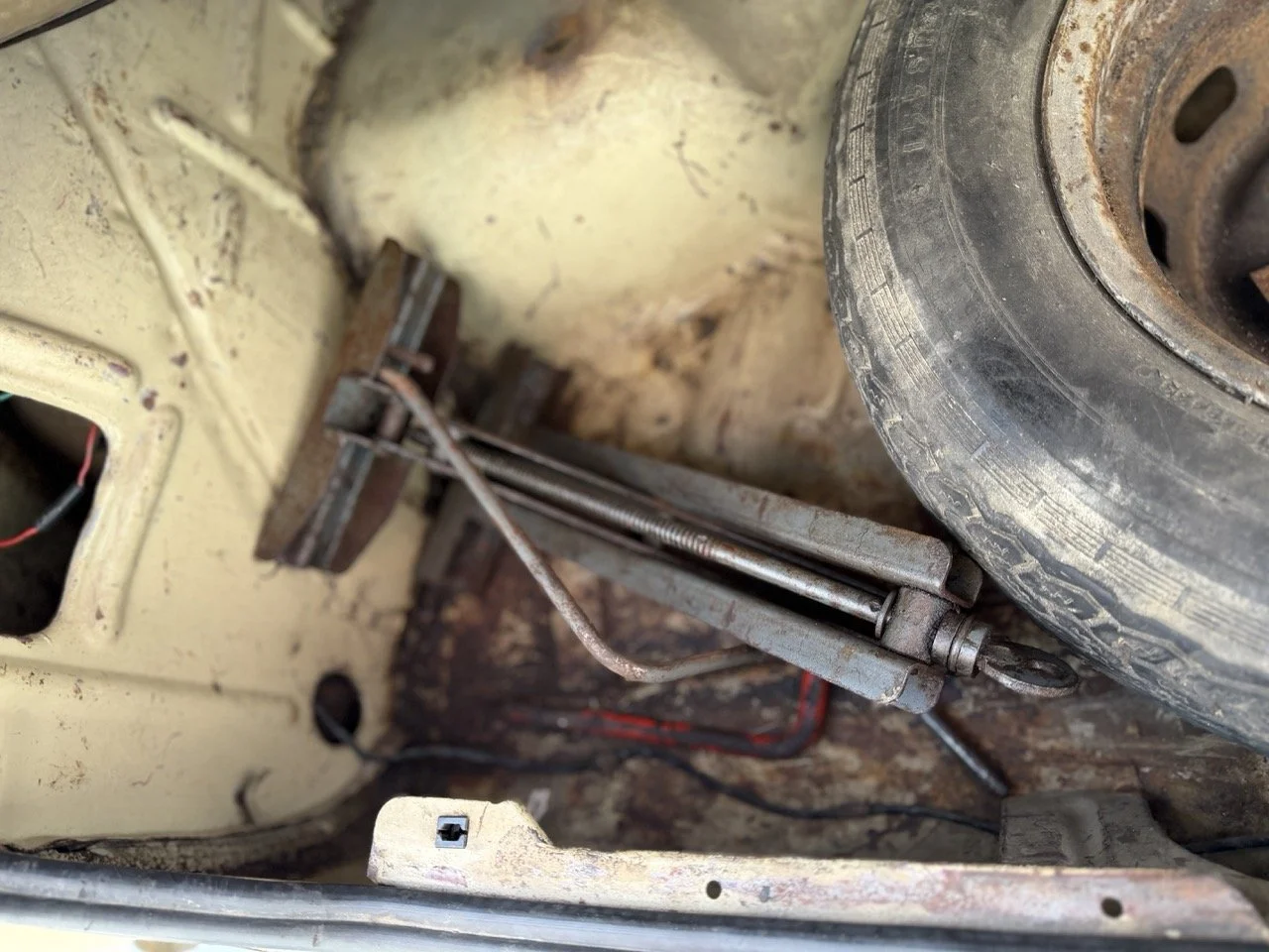 IMG_4059 – grande.jpeg