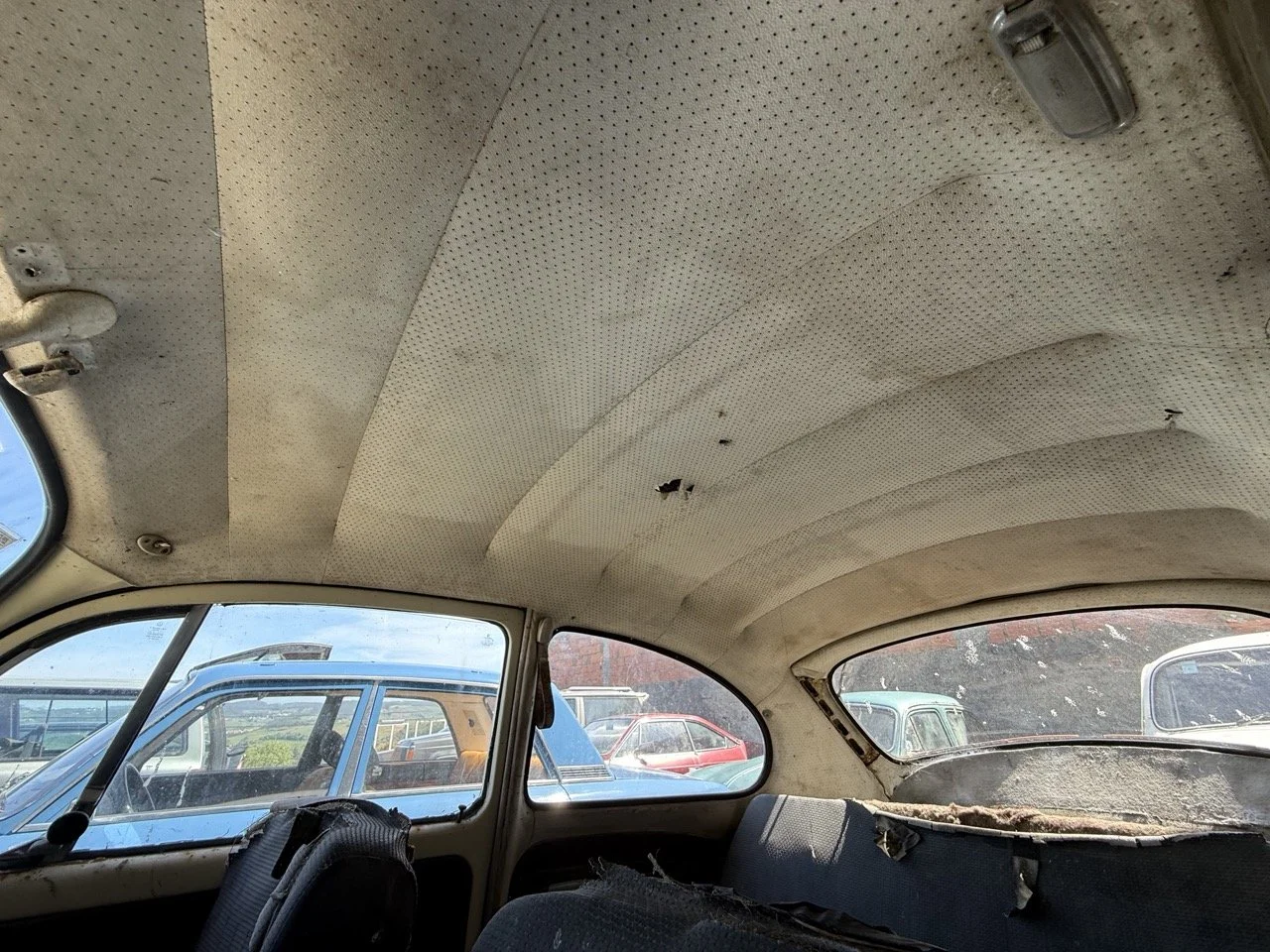 IMG_0664 – grande.jpeg