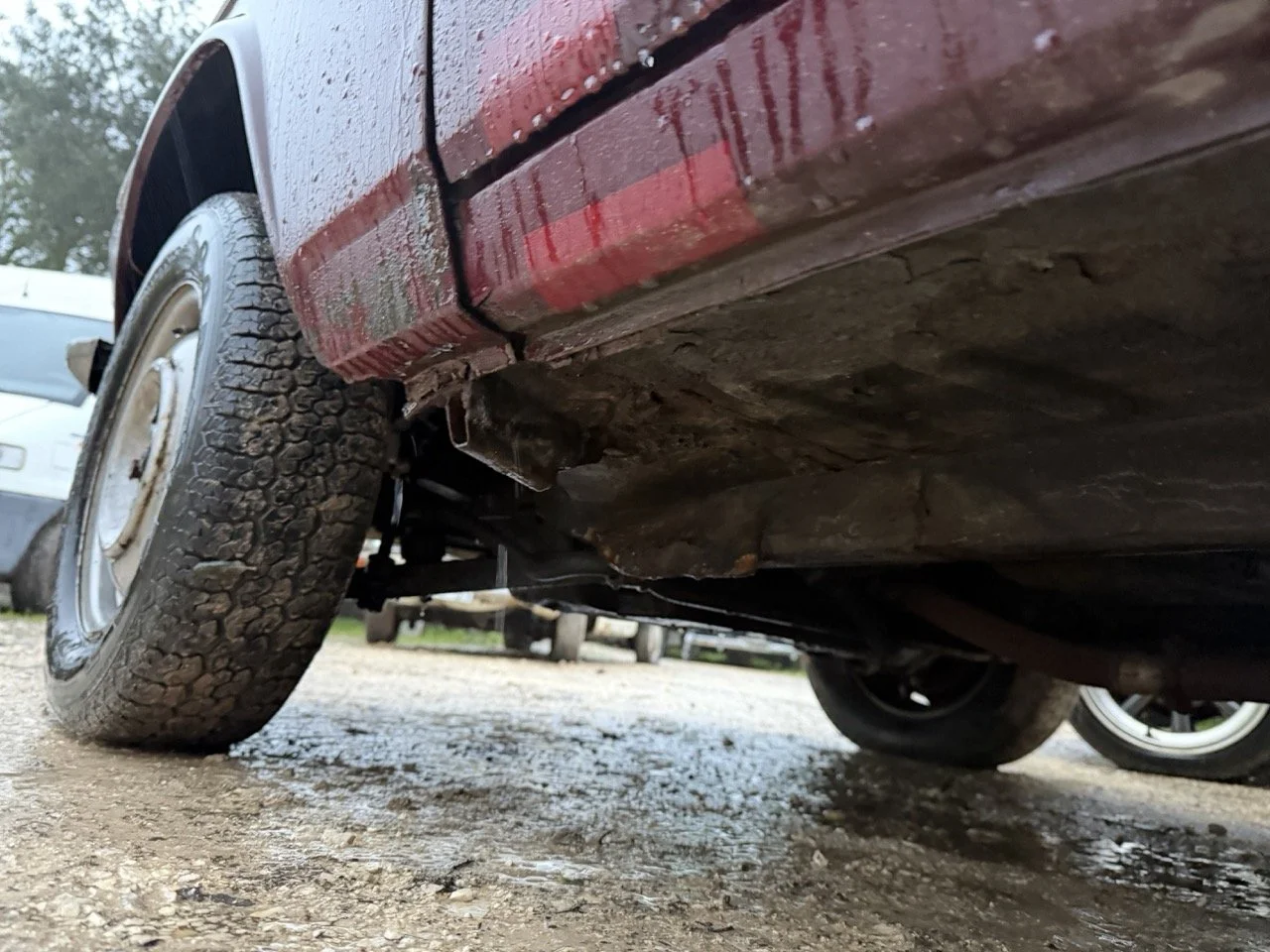 IMG_0292 – grande.jpeg