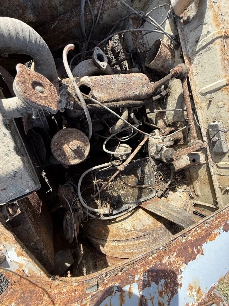 IMG_0496 – grande.jpeg