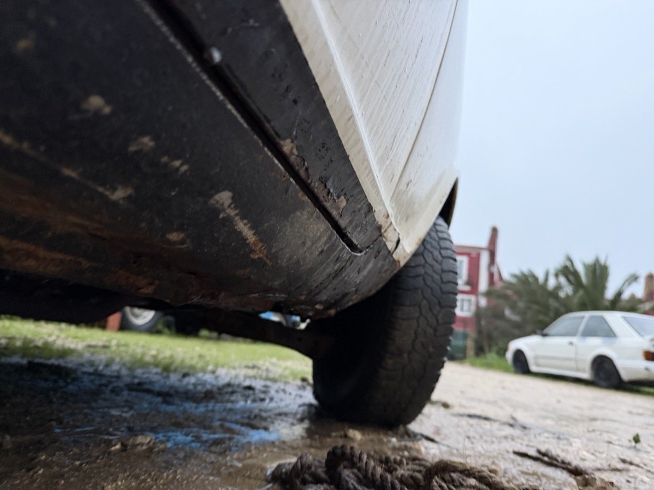 IMG_0131 – grande.jpeg