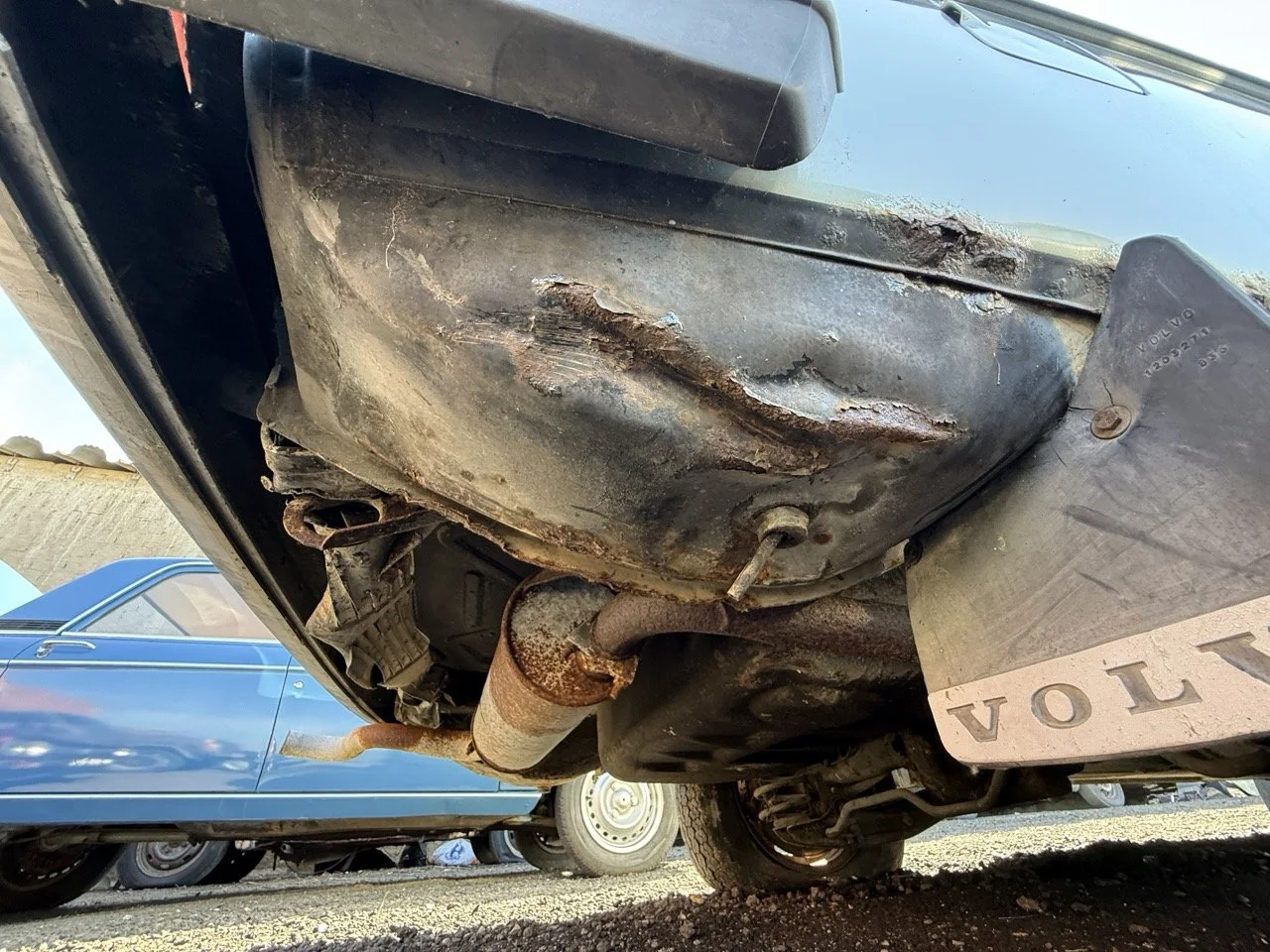 IMG_1228 – grande.jpeg