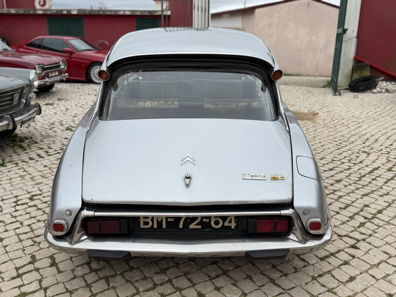 IMG_3668 – grande.jpeg