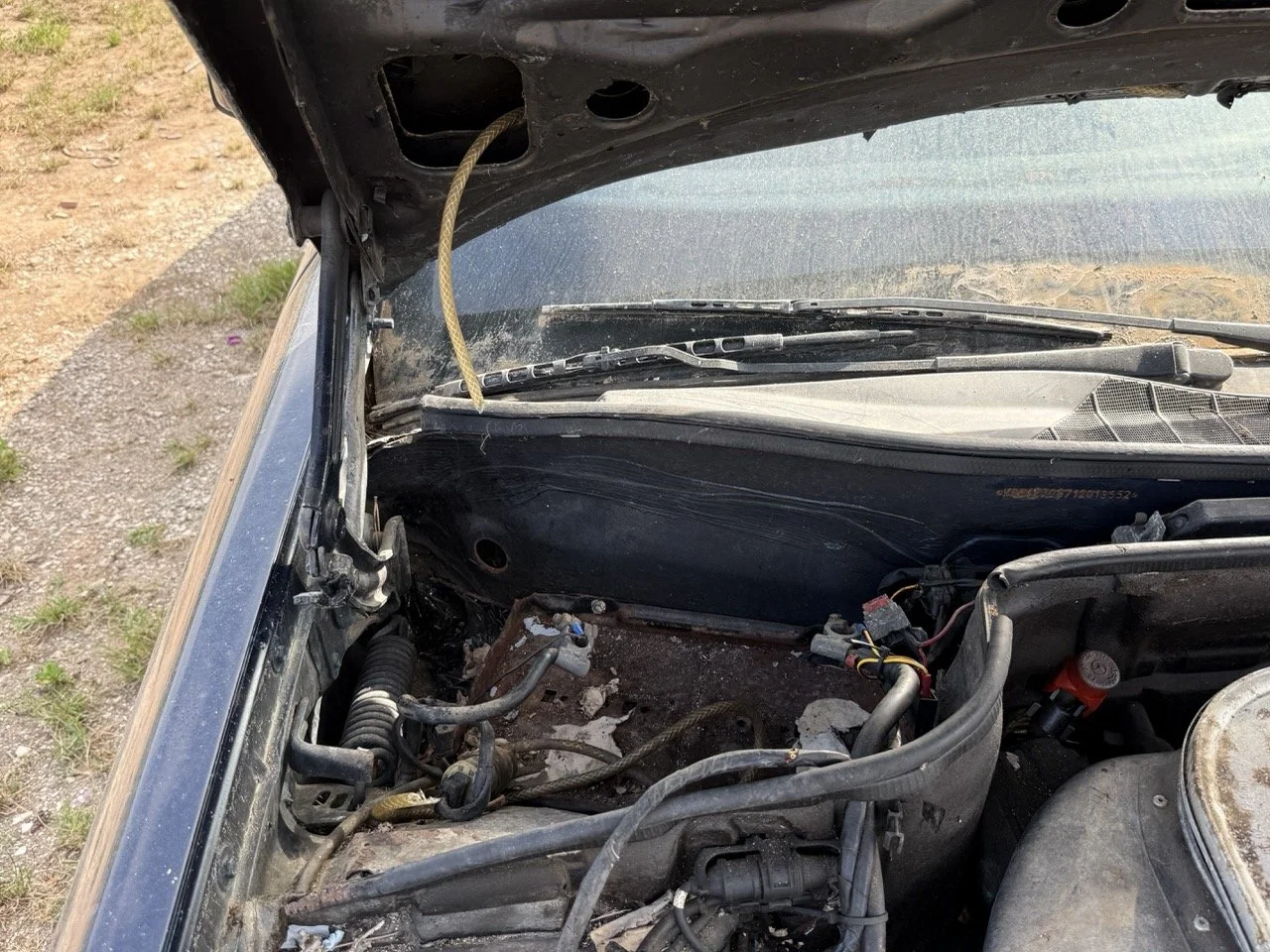 IMG_3415 – grande.jpeg