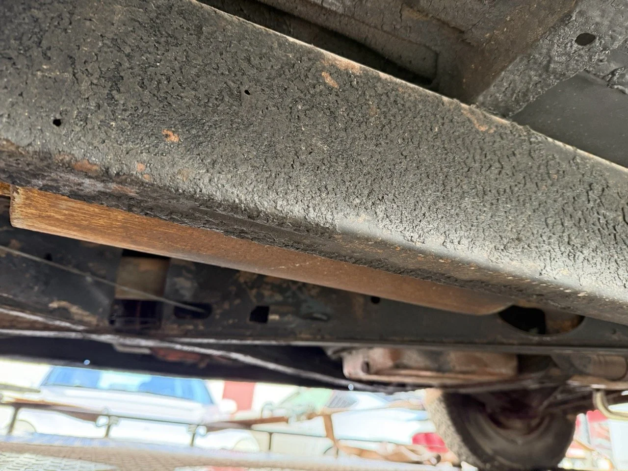 IMG_1781 – grande.jpeg