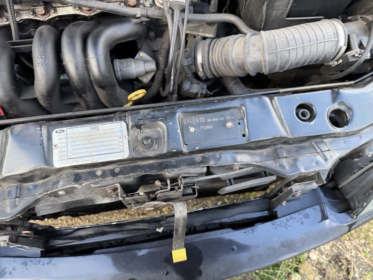 IMG_5319 – grande.jpeg