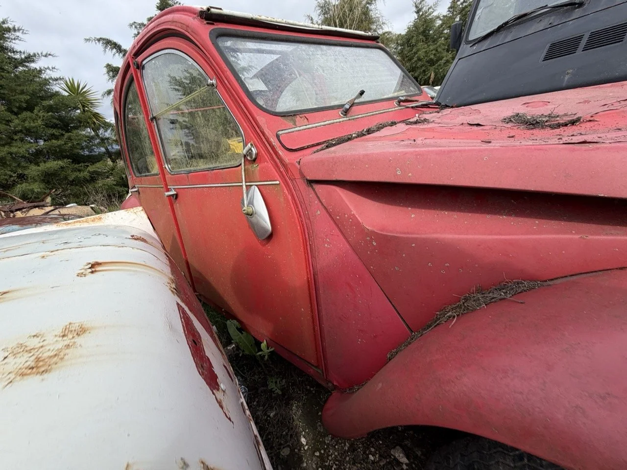 IMG_3883 – grande.jpeg