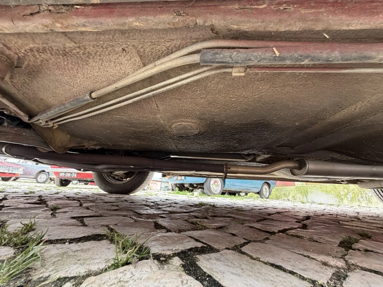 IMG_3530 – grande.jpeg