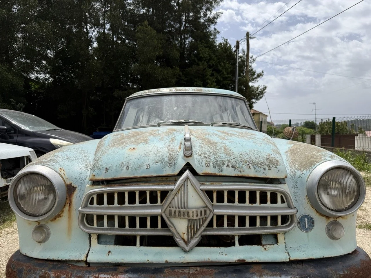 IMG_1375 – grande.jpeg