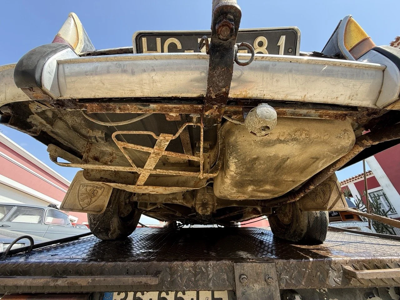 IMG_3481 – grande.jpeg