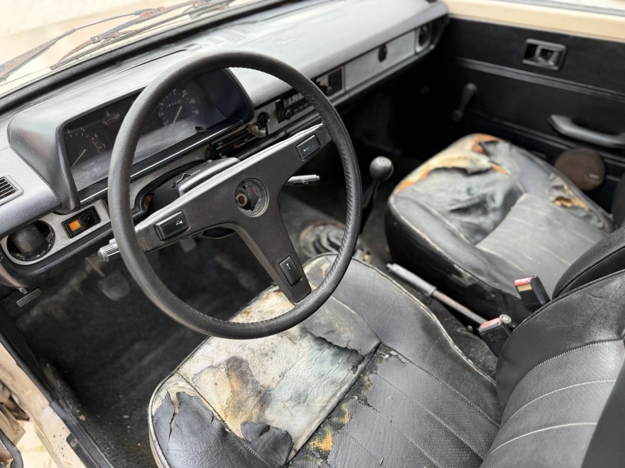 IMG_8693 – grande.jpeg