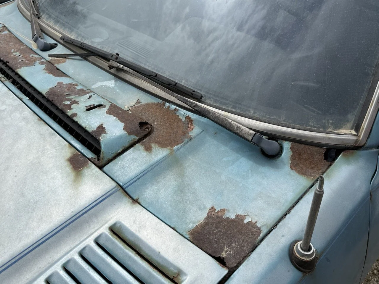 IMG_1556 – grande.jpeg