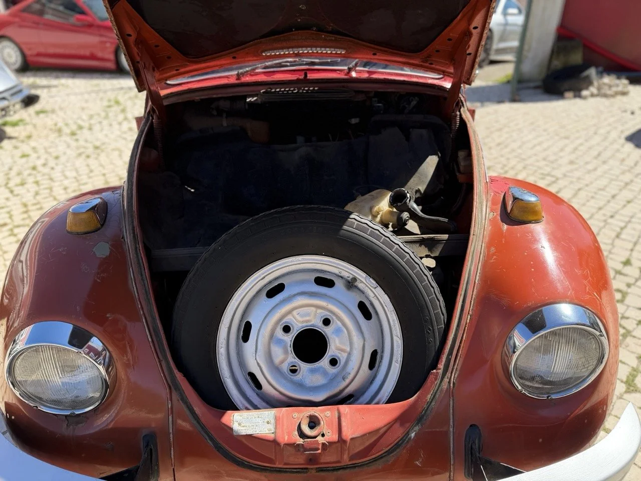 IMG_7558 – grande.jpeg