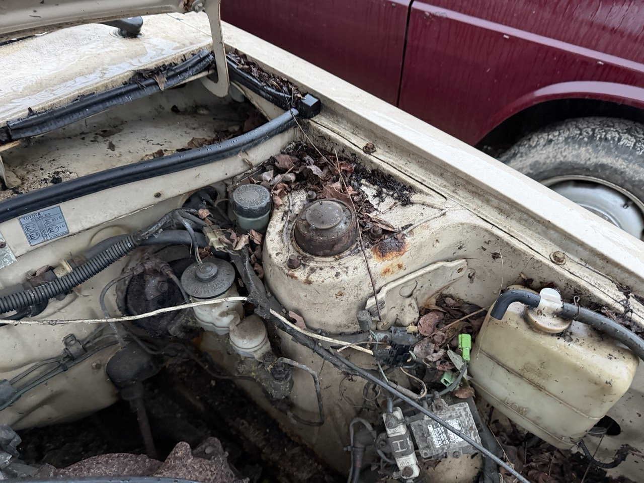 IMG_0242 – grande.jpeg