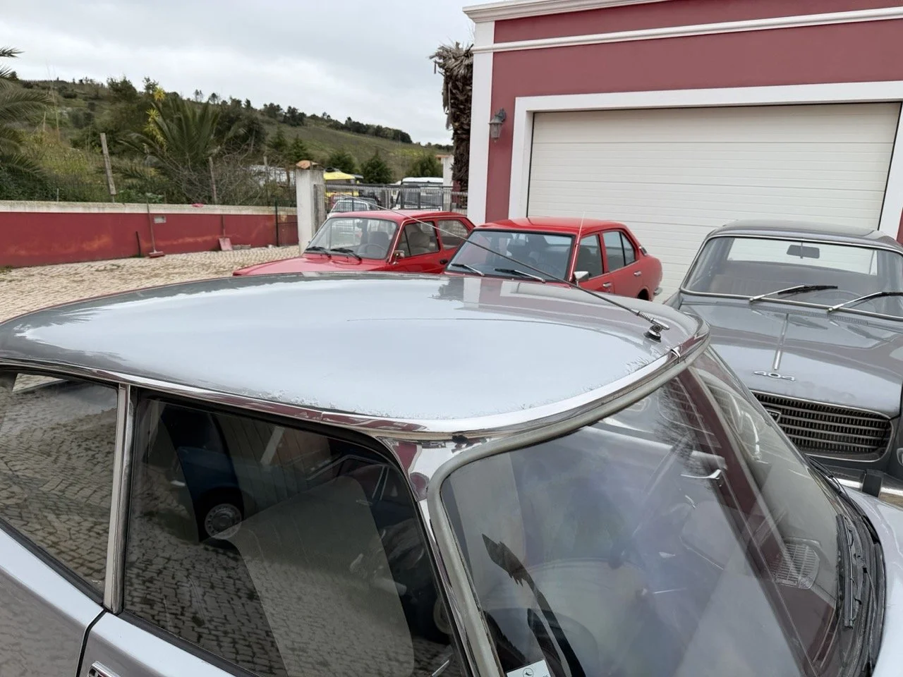 IMG_3754 – grande.jpeg