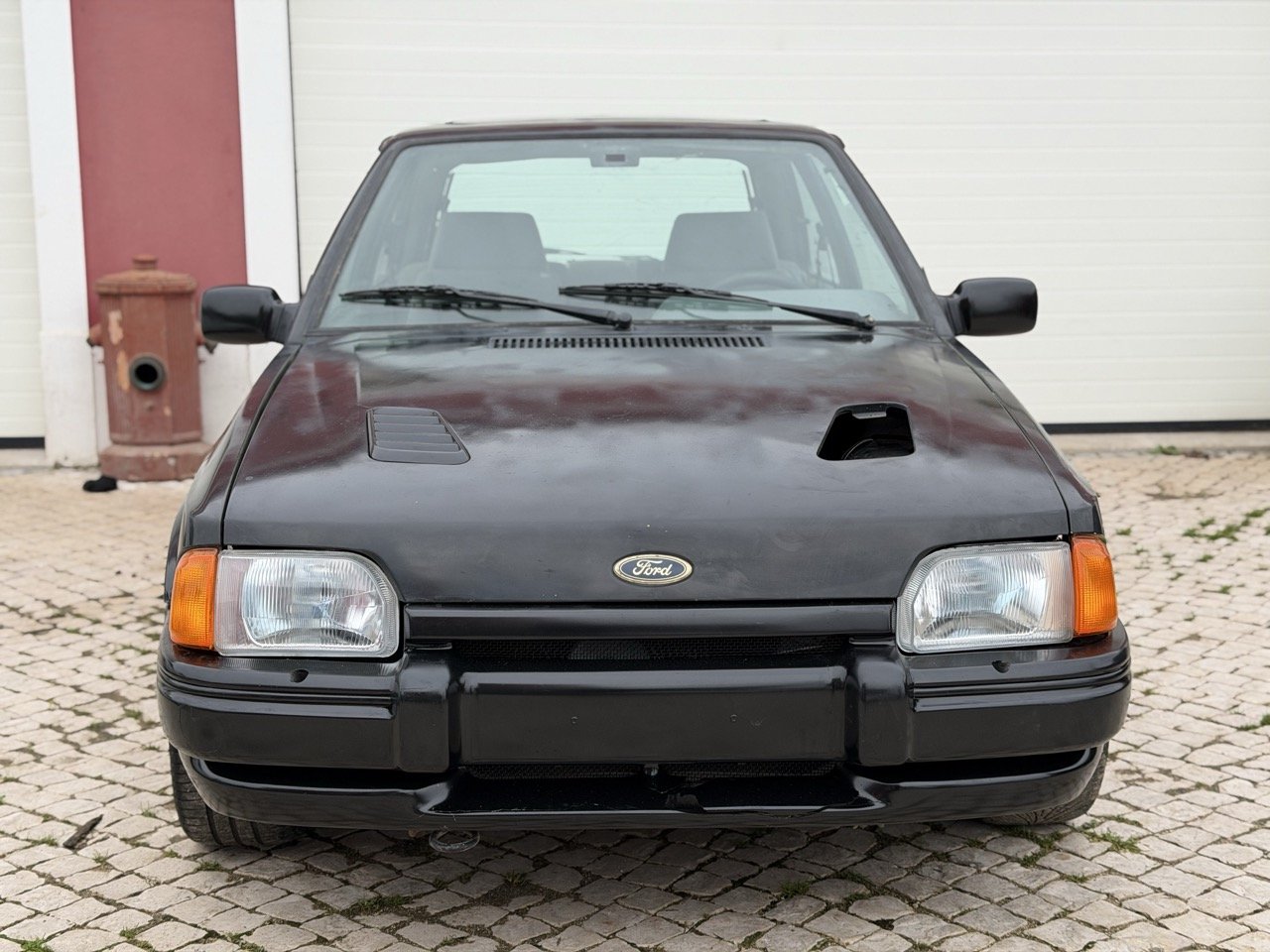 IMG_1252 – grande.jpeg