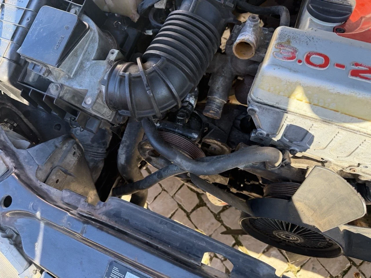 IMG_2757 – grande.jpeg