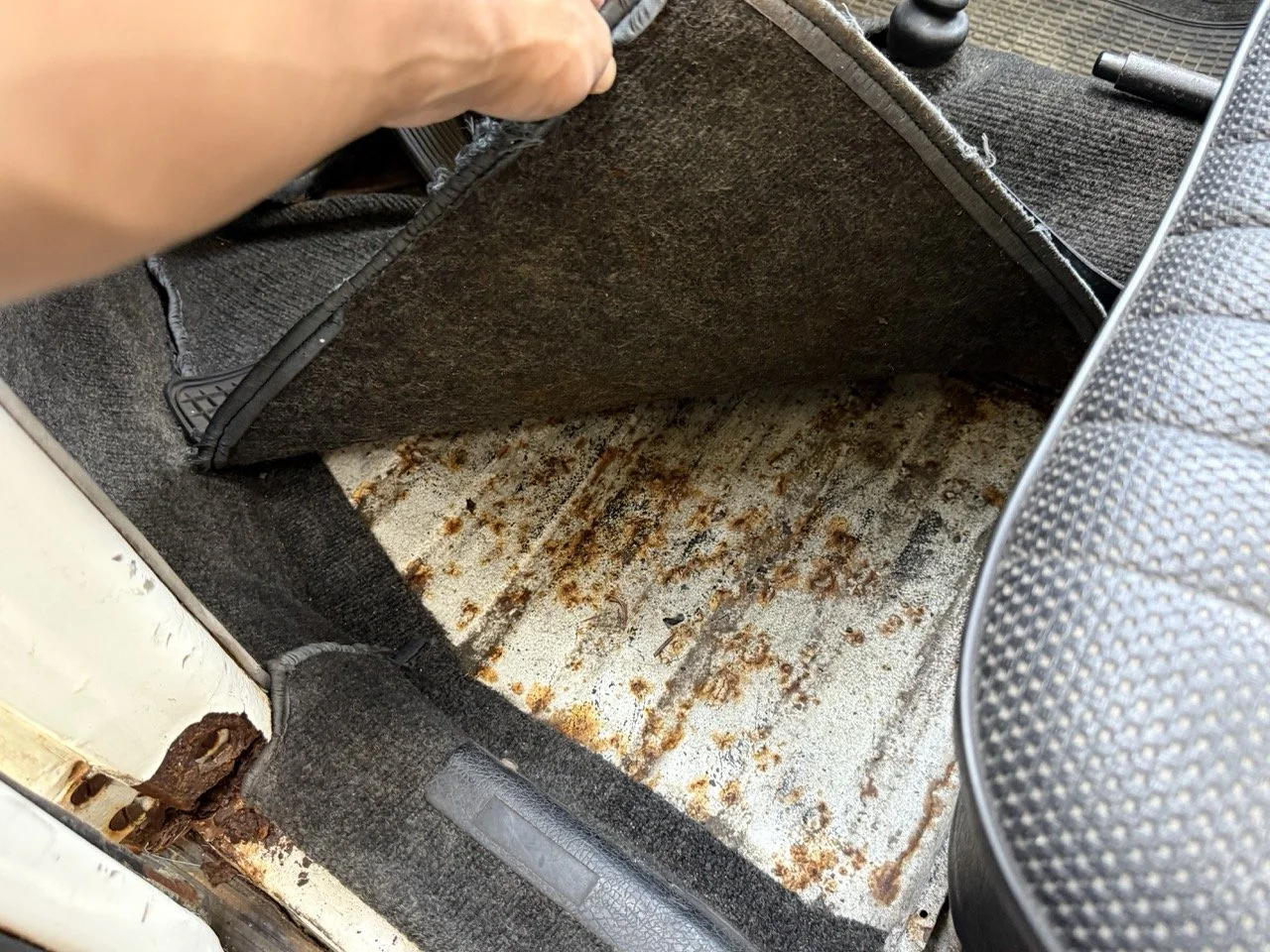 IMG_0689 – grande.jpeg