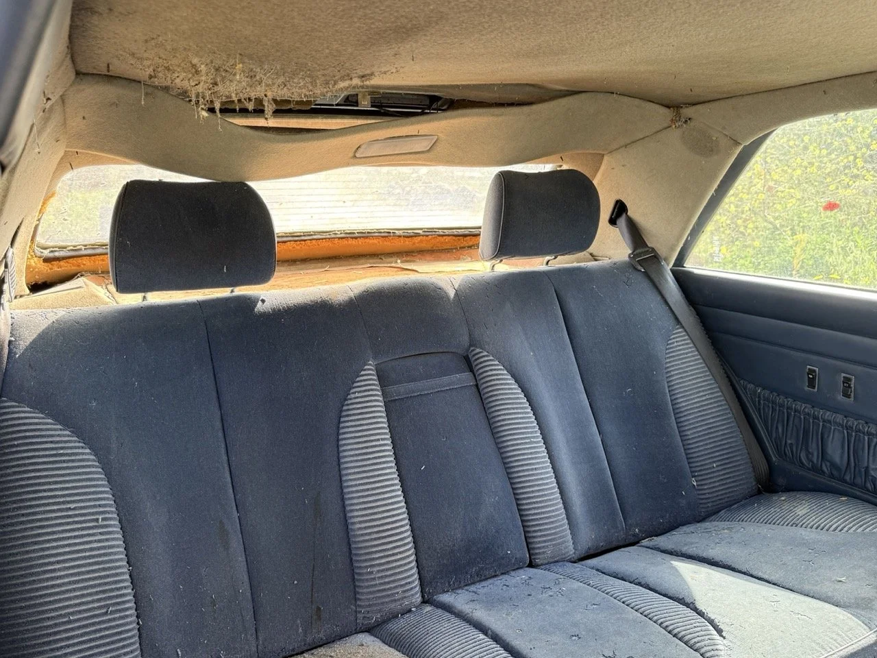 IMG_3437 – grande.jpeg