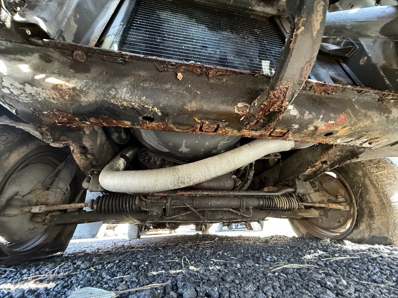 IMG_1250 – grande.jpeg