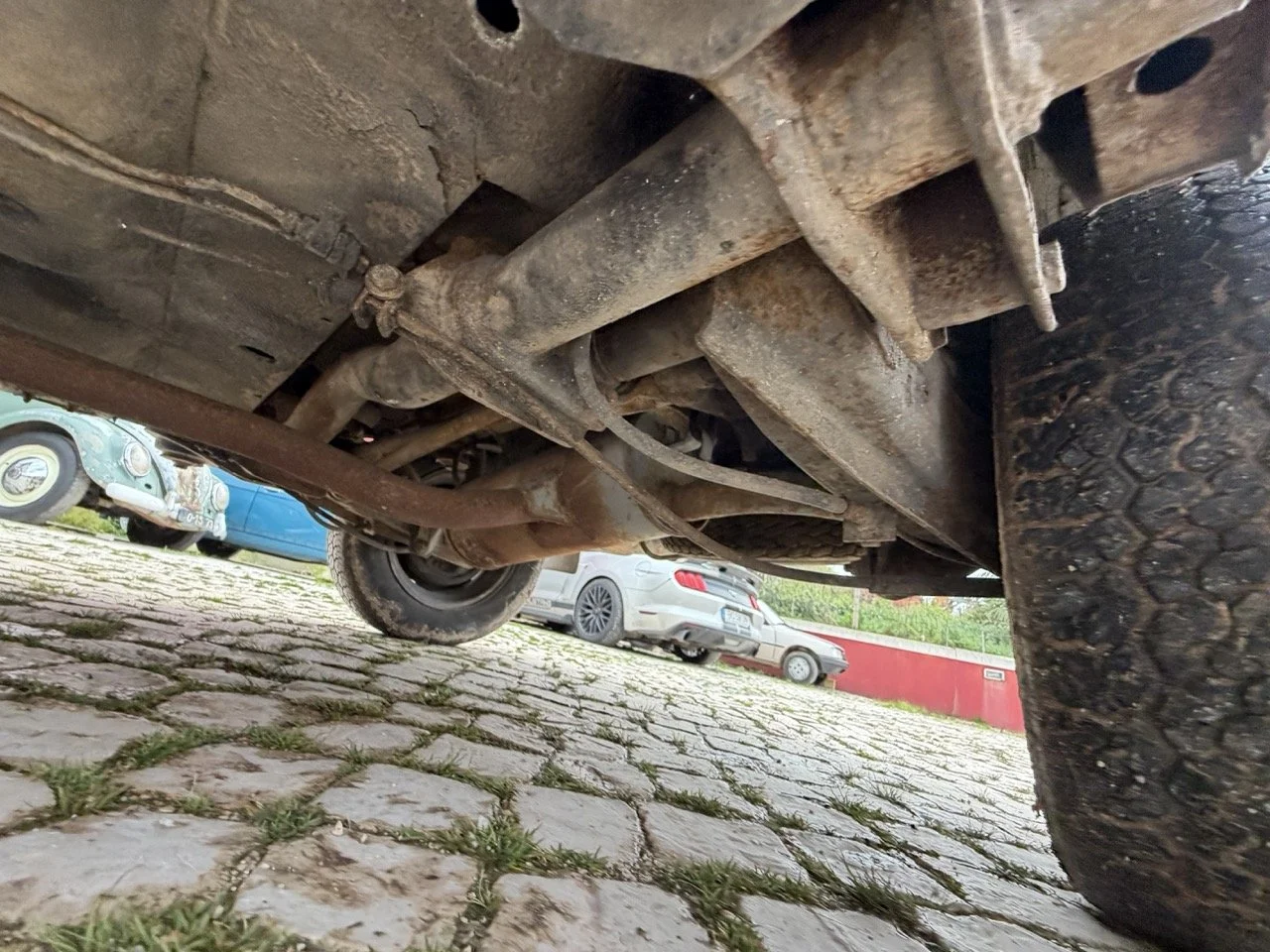 IMG_4951 – grande.jpeg