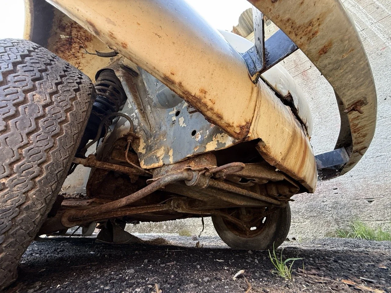 IMG_0657 – grande.jpeg