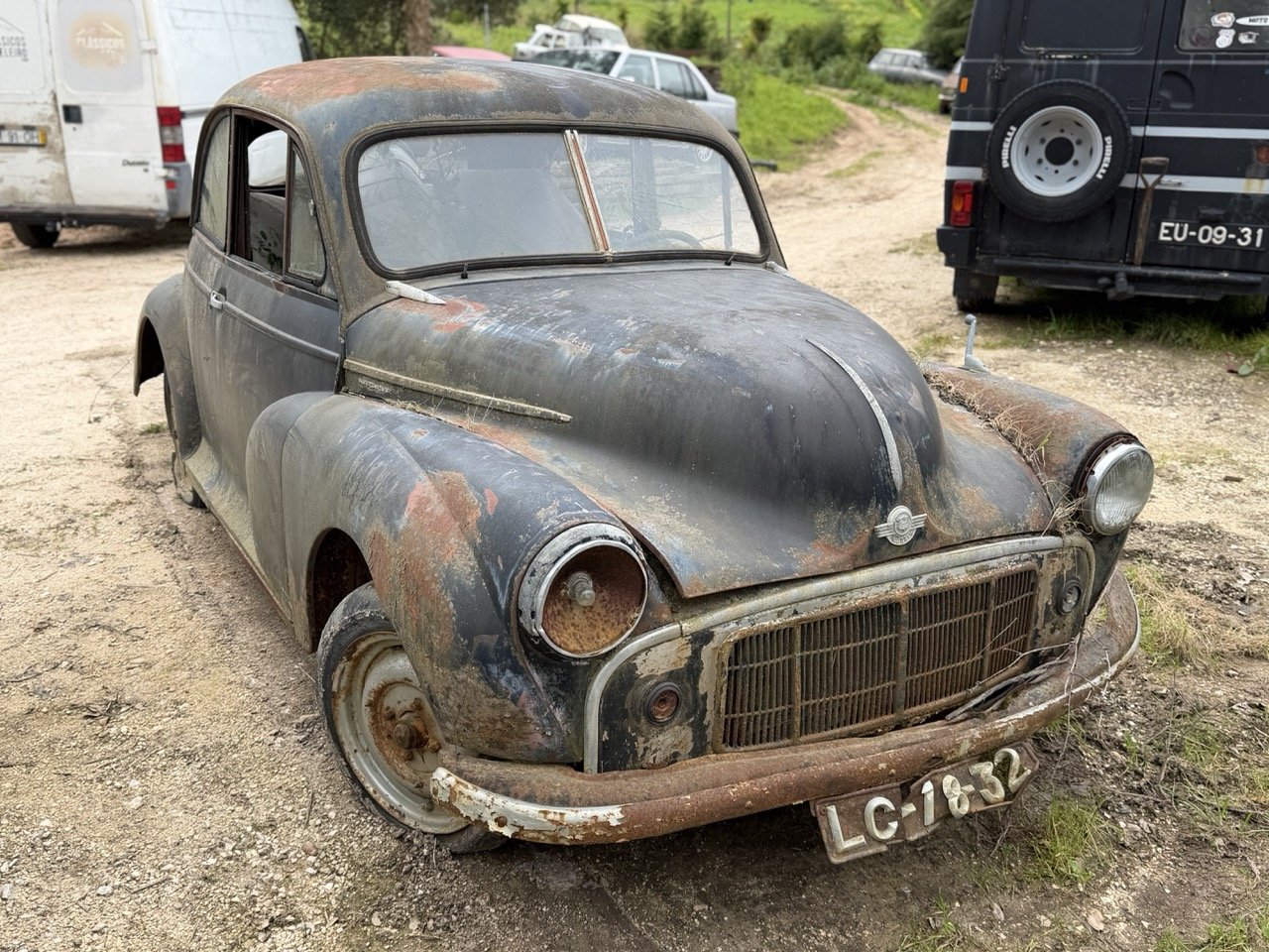 IMG_3829 – grande.jpeg